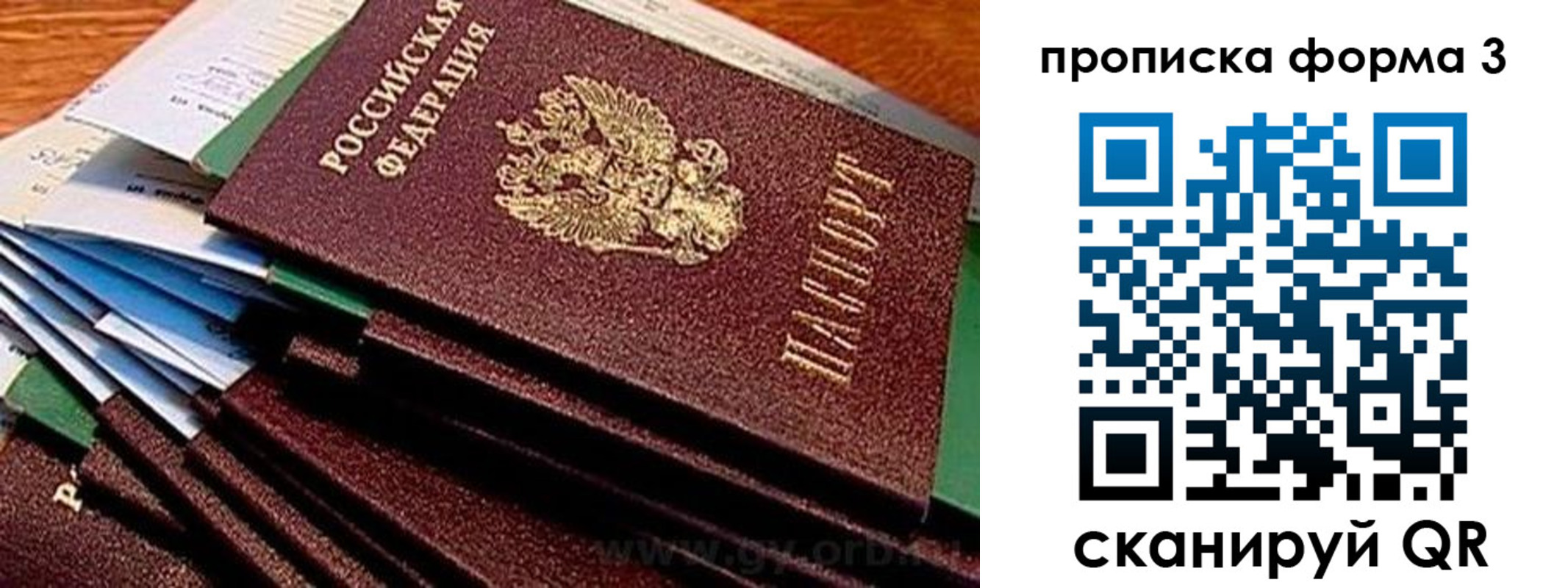 прописка иностранных граждан в Мордовии